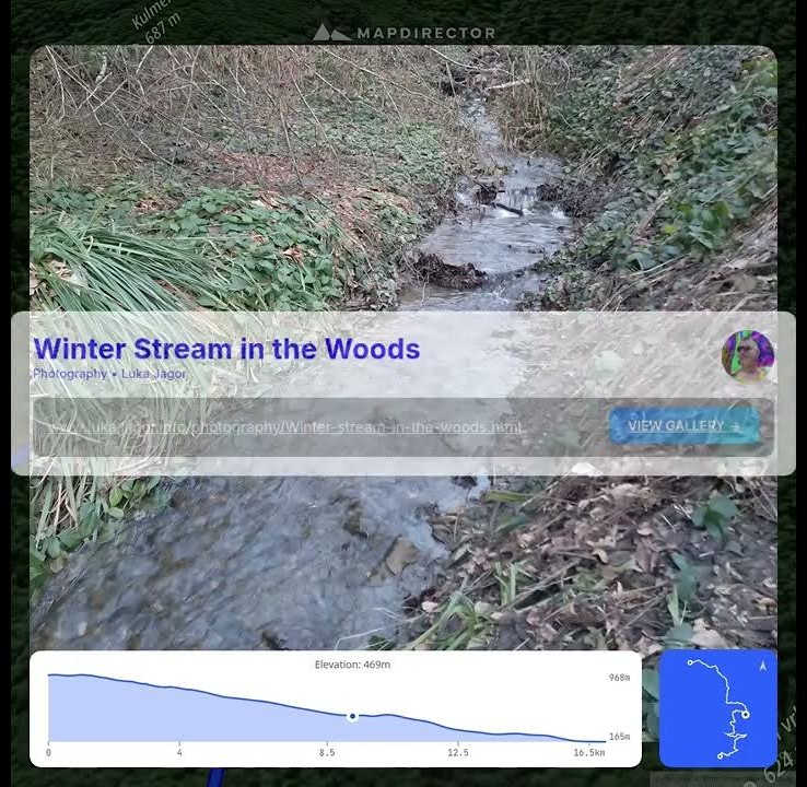 Newsletter #43 – Zenith Edition
